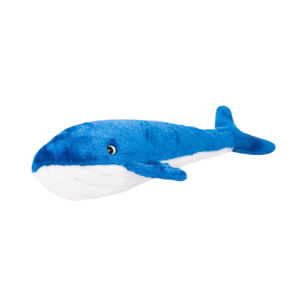 Longue baleine bleue au ventre blanc, vue de profil