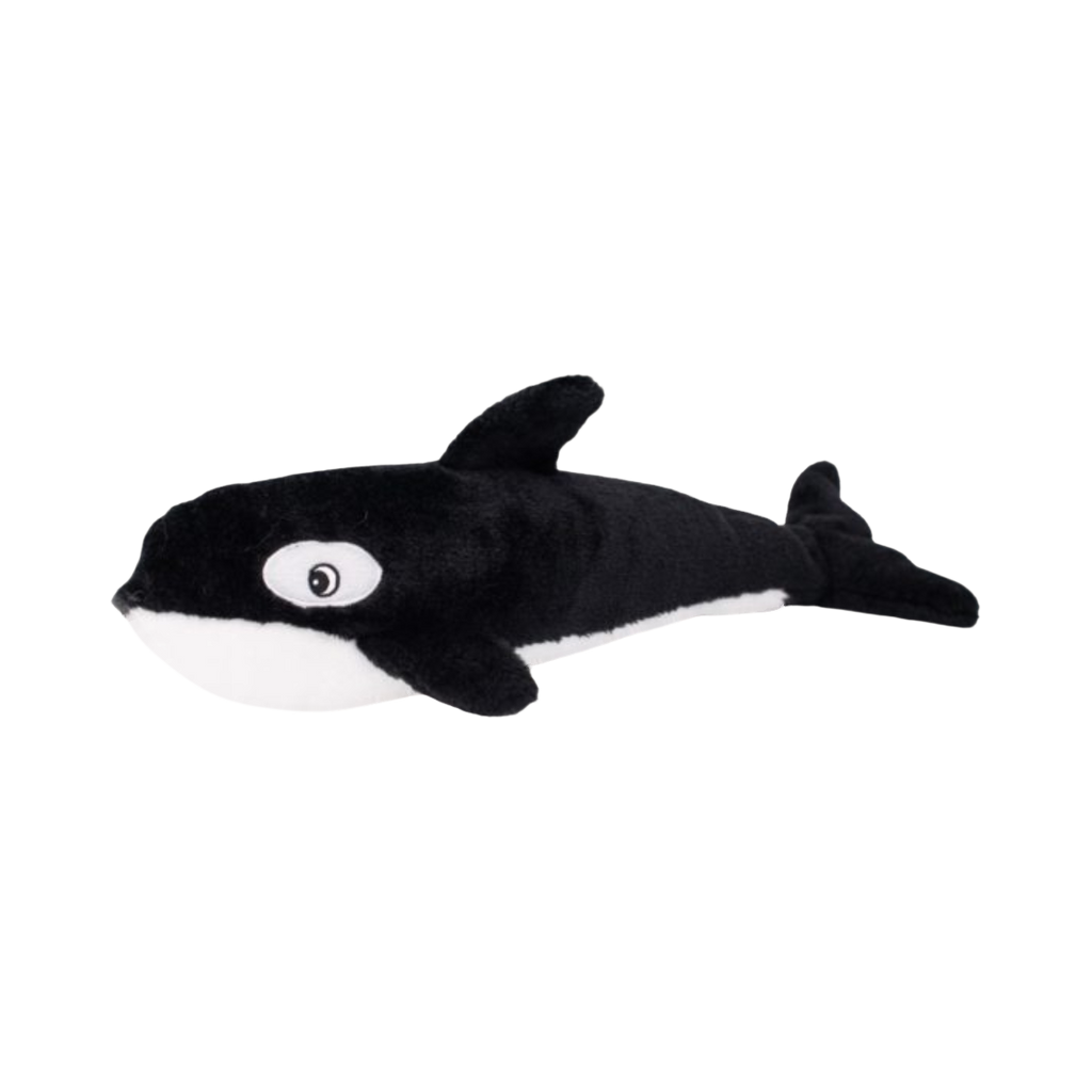 Épaulard noir et blanc allongé, vu de profil