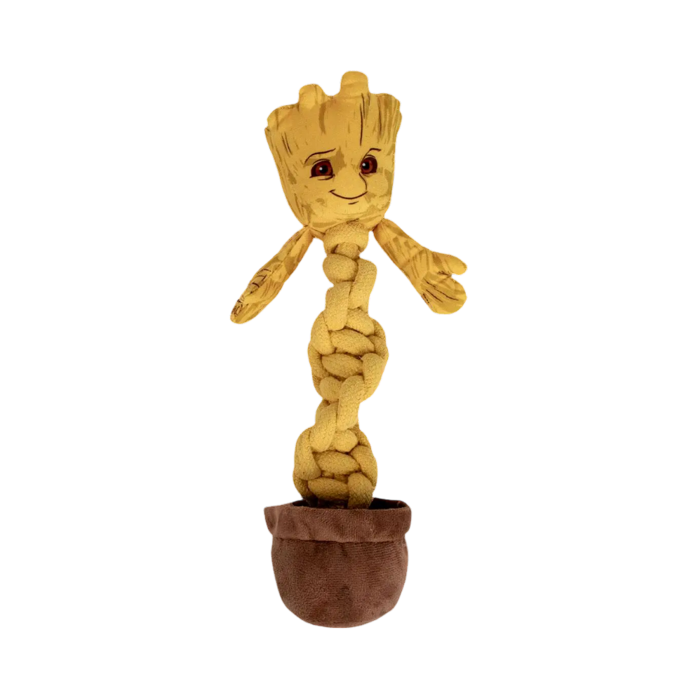 Petit arbre souriant au corps en corde tressée dans un pot