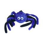 Araignée violette aux grands yeux et pattes noires moelleuses