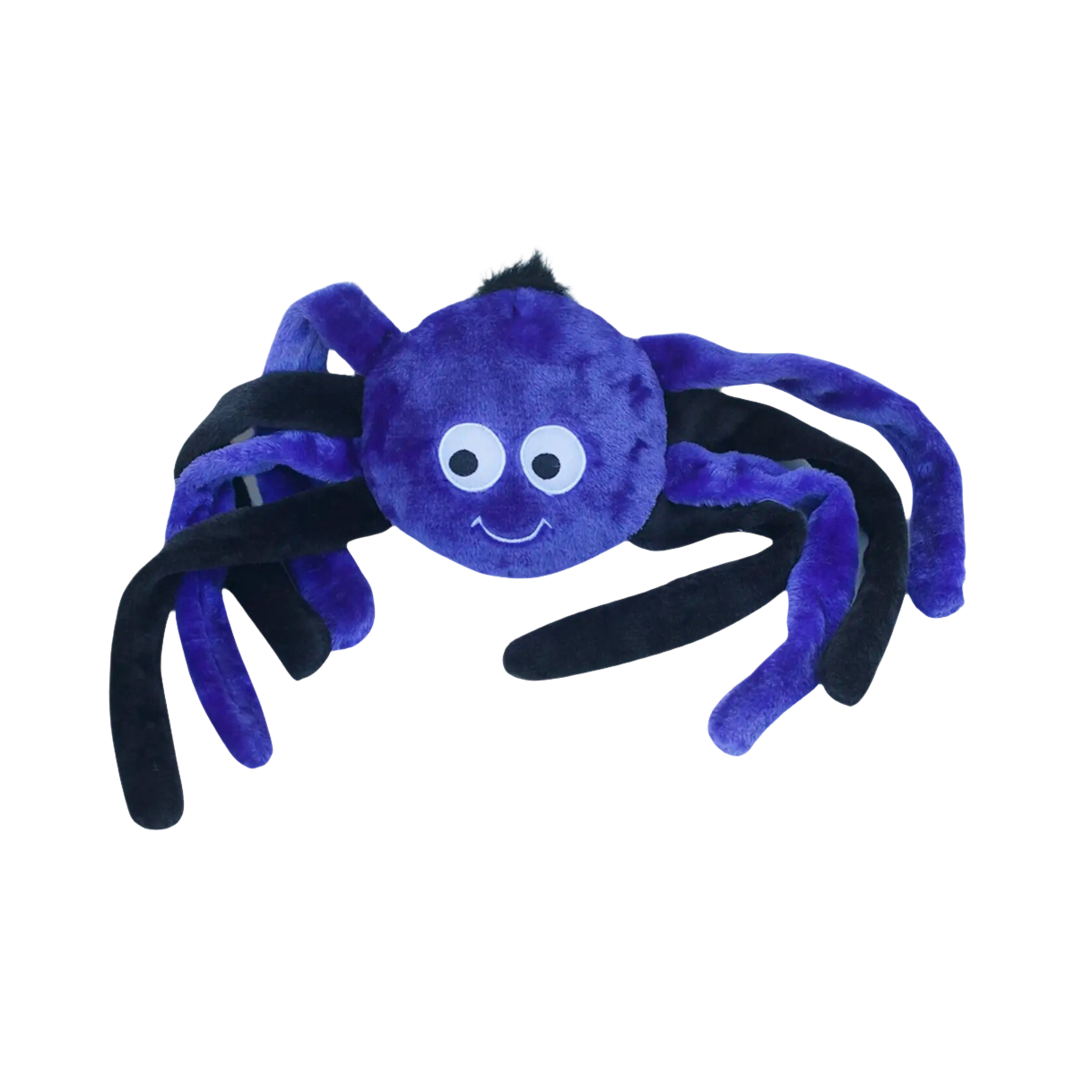 Araignée violette aux grands yeux et pattes noires moelleuses