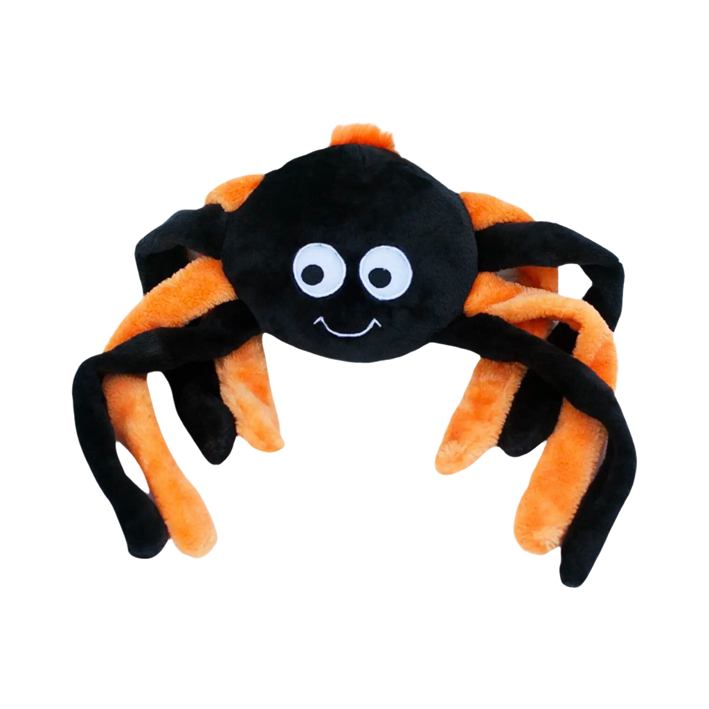 Araignée noire aux longues pattes orange et grands yeux ronds