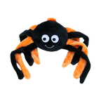 Araignée noire aux longues pattes orange et grands yeux ronds