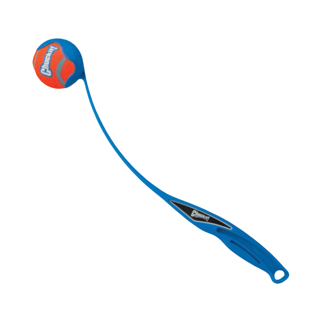 Lanceur bleu tenant une balle orange au bout