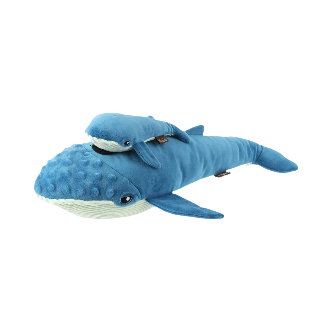 Grande baleine bleue portant un petit sur son dos