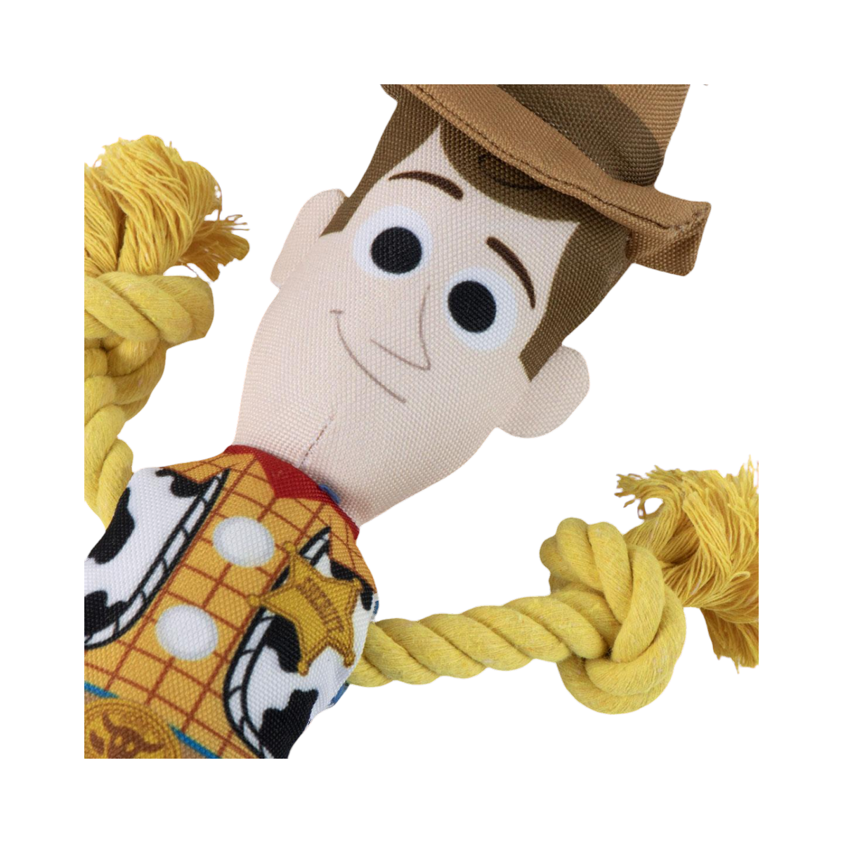 Gros plan sur le visage de Woody et son chapeau marron