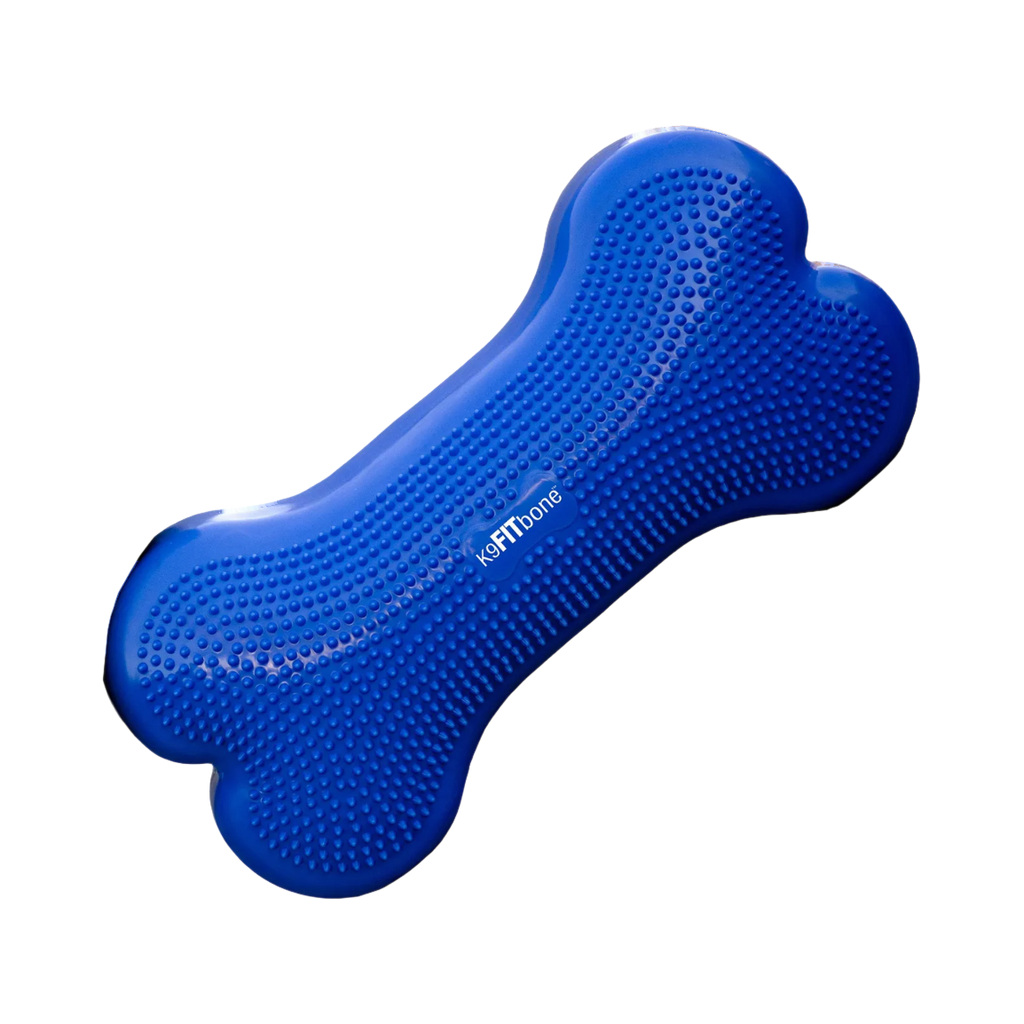 Os gonflable bleu roi texturé