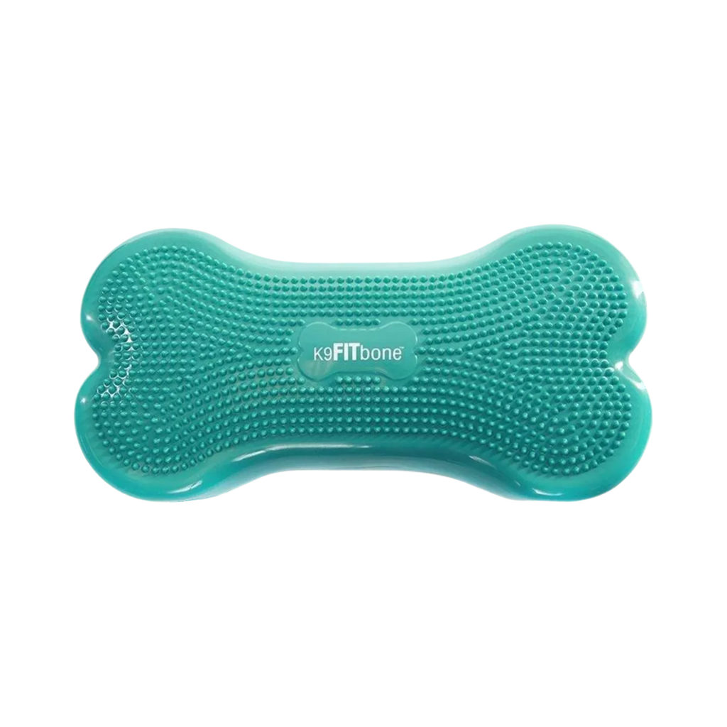 Os gonflable turquoise vu de face