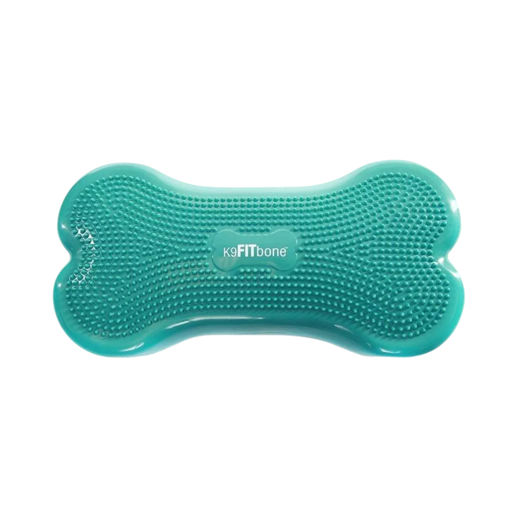 Os gonflable turquoise vu de face