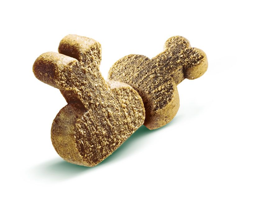 Gros plan de deux friandises Brit Care Mineral pour chiot