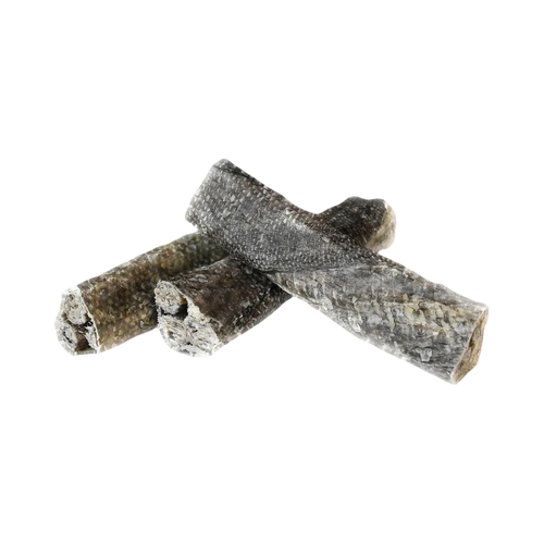 Bâtonnets de morue enveloppés dans leur peau séchée, vus de près