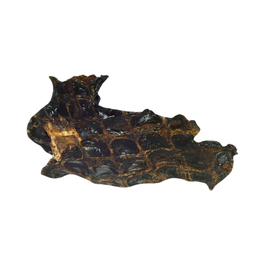 Morceau de foie de bœuf séché noir aux reflets dorés