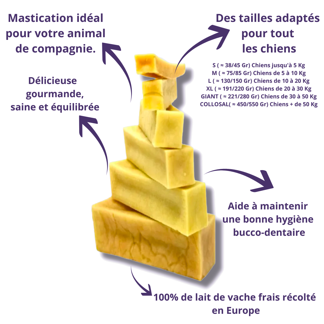 Fromage de yak avec ses bienfaits et le tableau des tailles selon le poids du chien