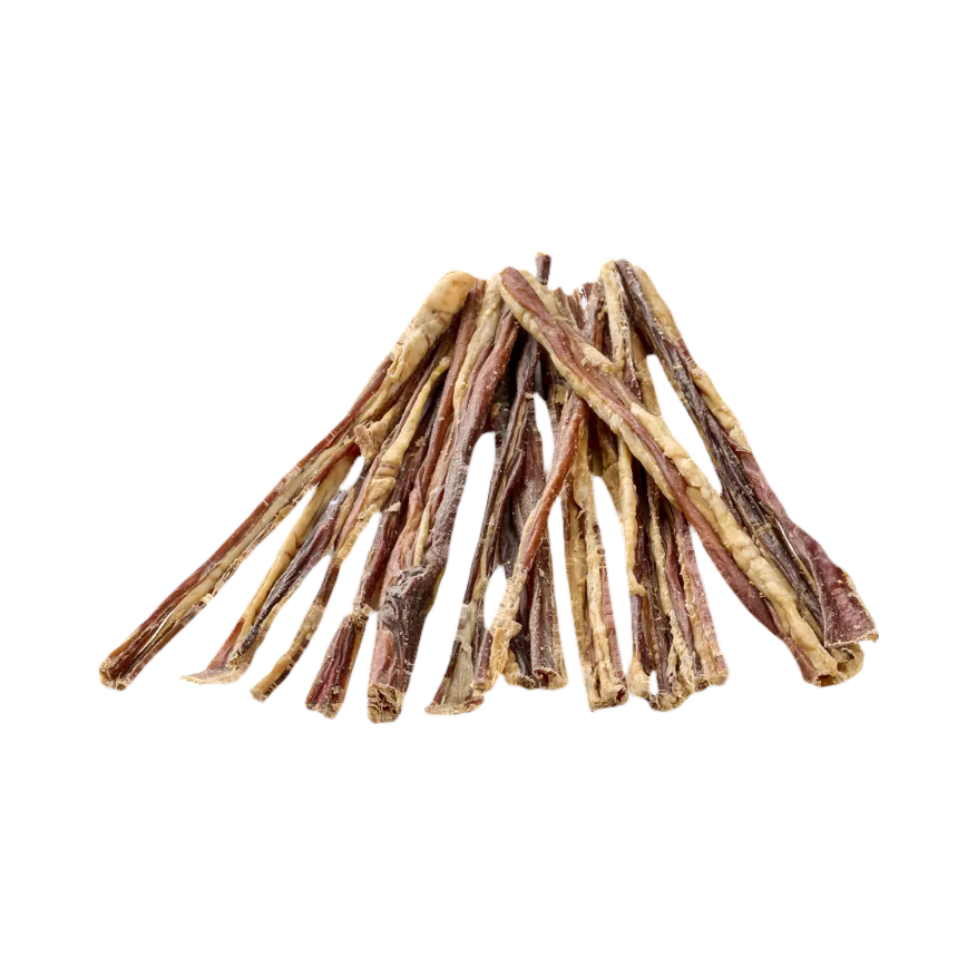 Fagot de spaghetti de porc séchés