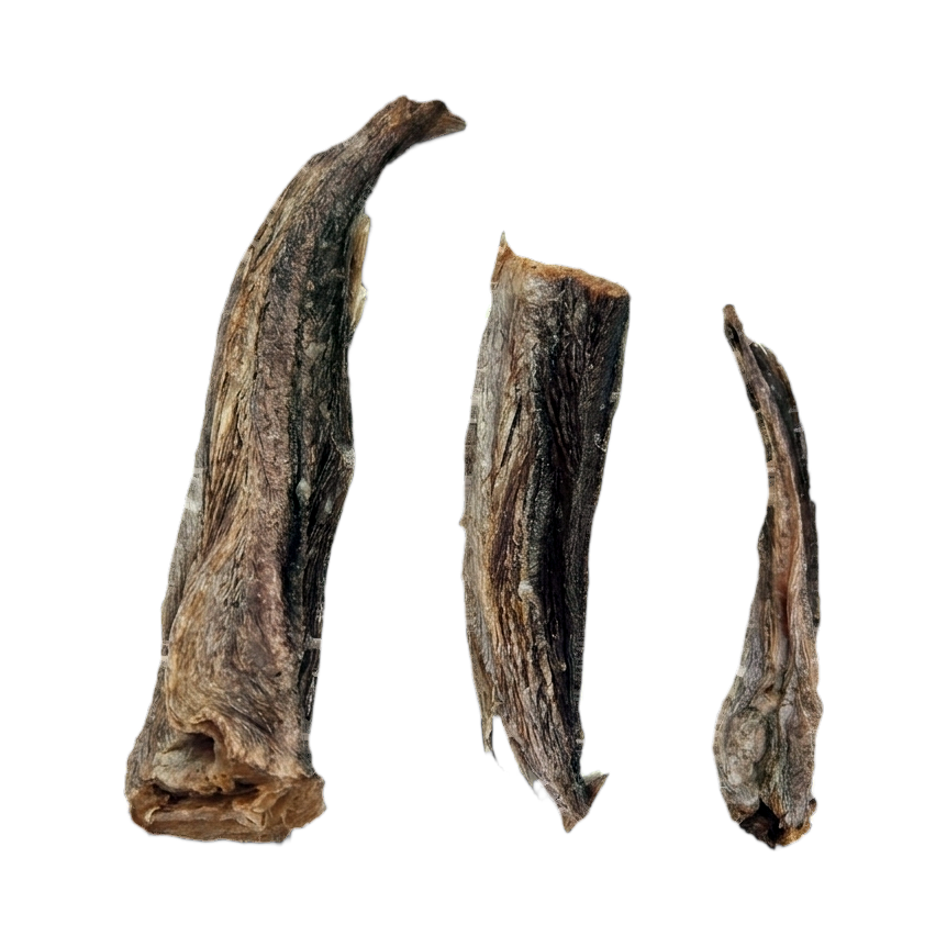 Trois morceaux de merlu séché allongés