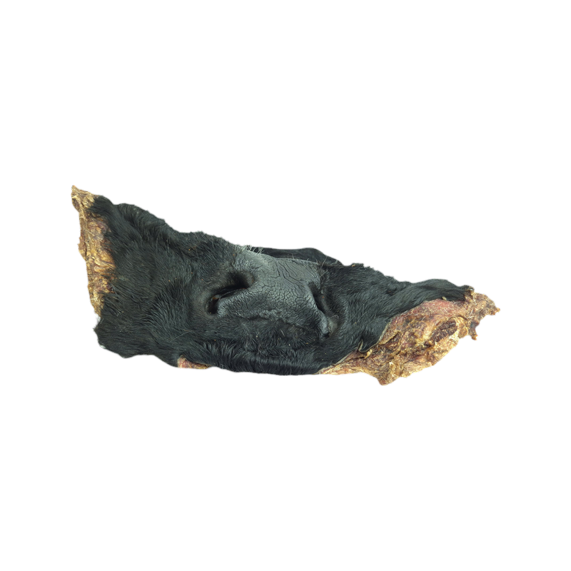 Museau de bœuf séché avec son pelage noir