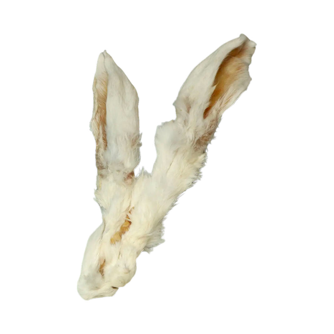 Deux oreilles de lapin séchées aux poils clairs