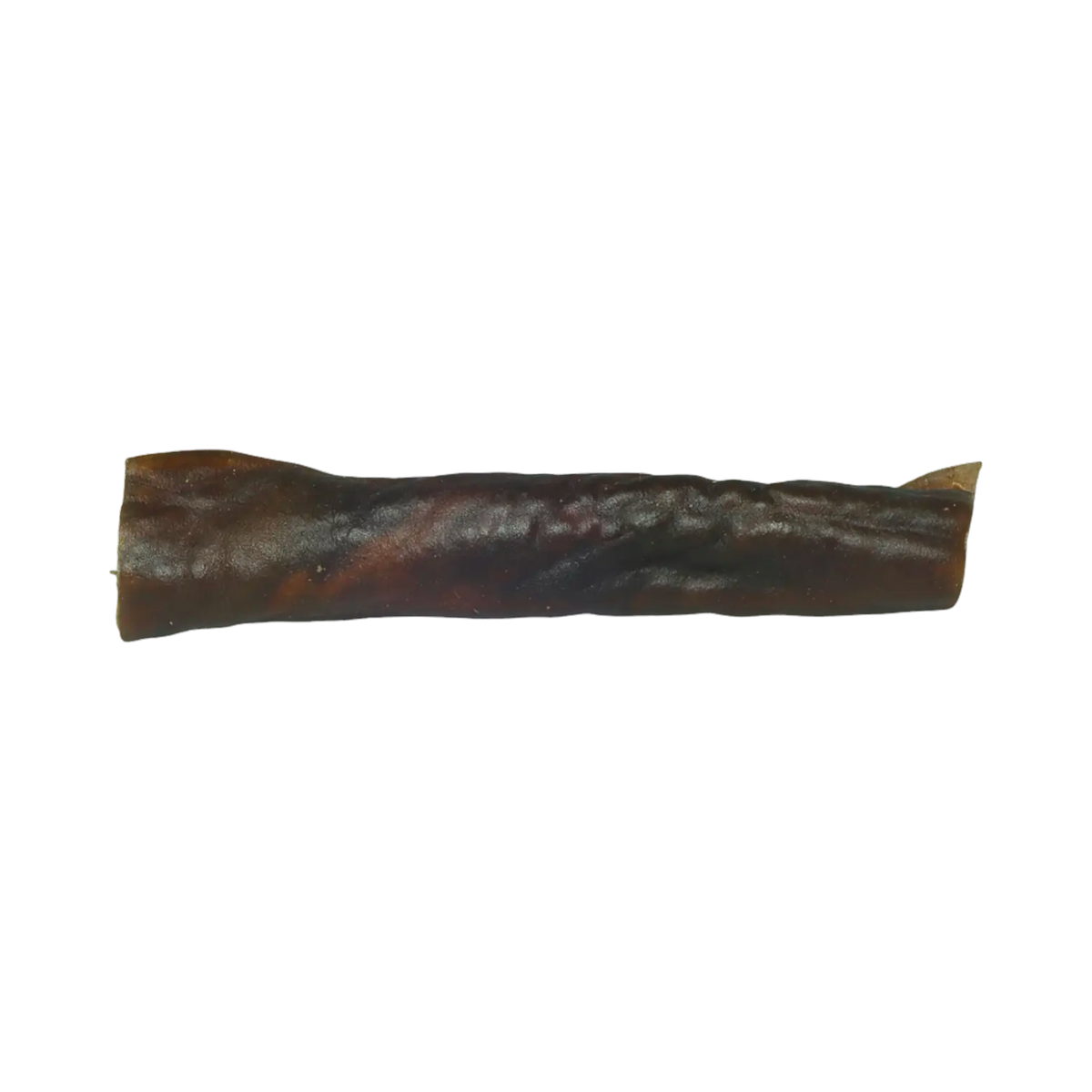 Rouleau de peau de chameau séchée, une pièce
