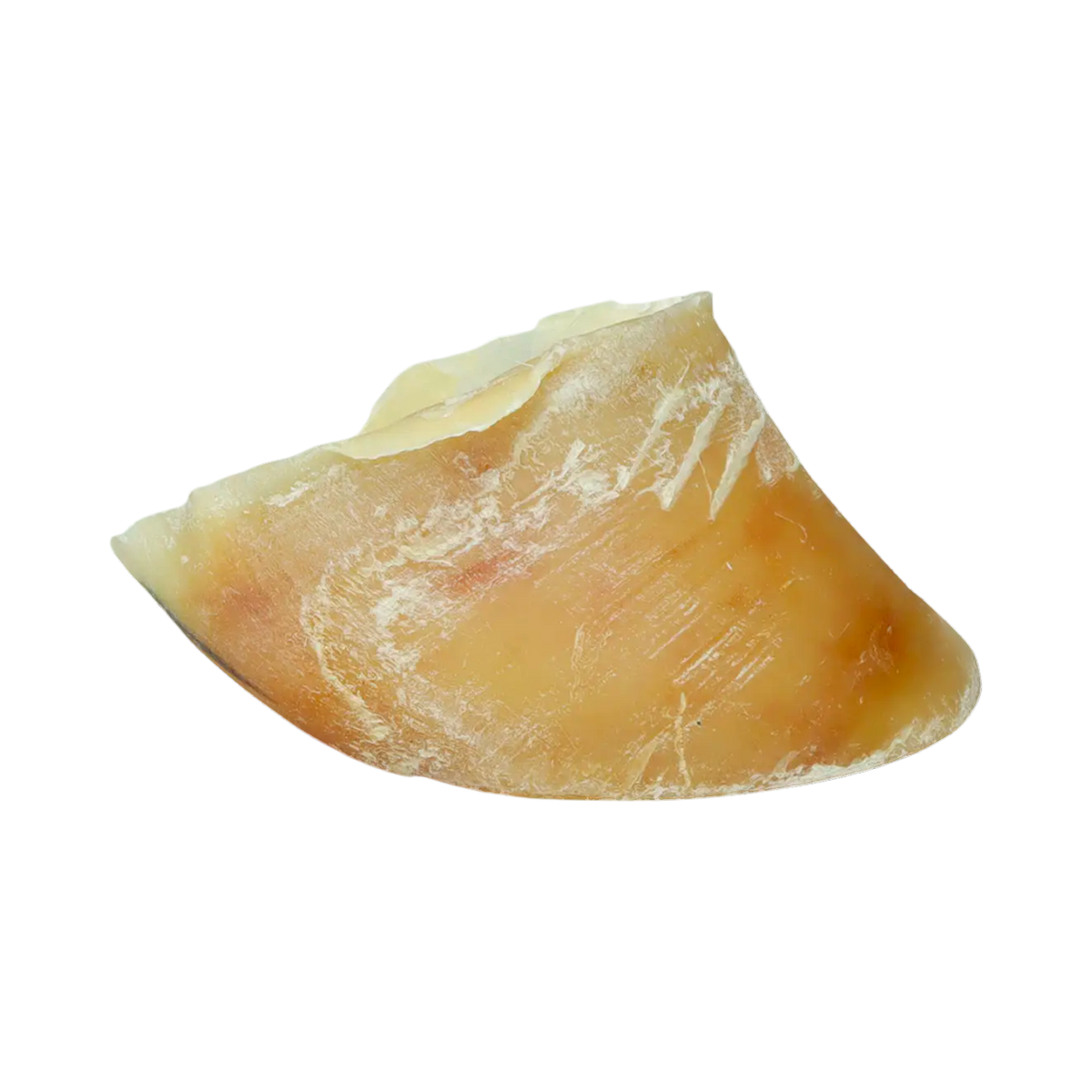 Sabot de veau séché, vu de profil