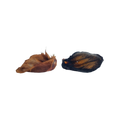 Deux oreilles de bœuf séchées avec poils, rousse et noire