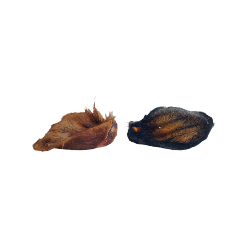 Deux oreilles de bœuf séchées avec poils, rousse et noire