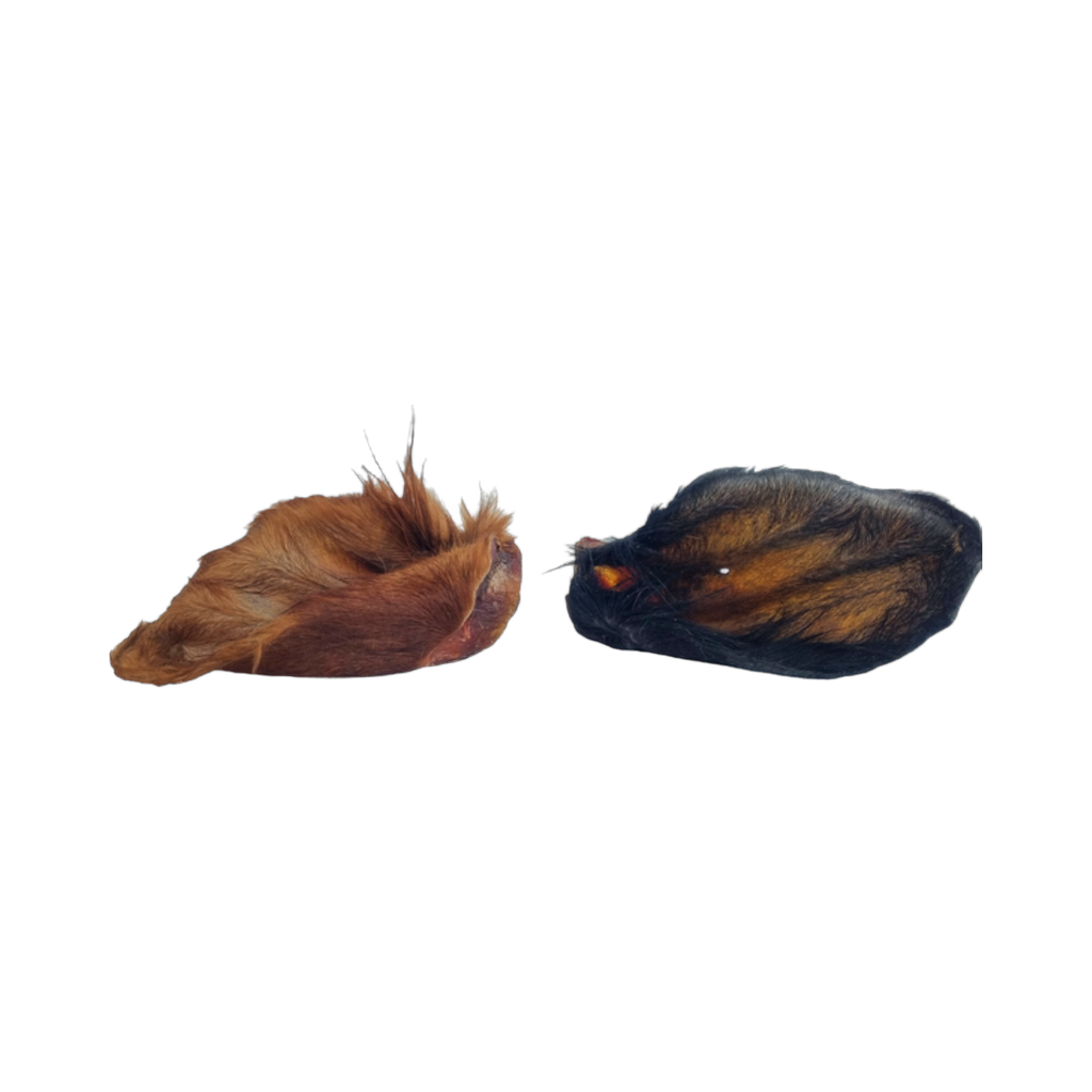 Deux oreilles de bœuf séchées avec poils, rousse et noire