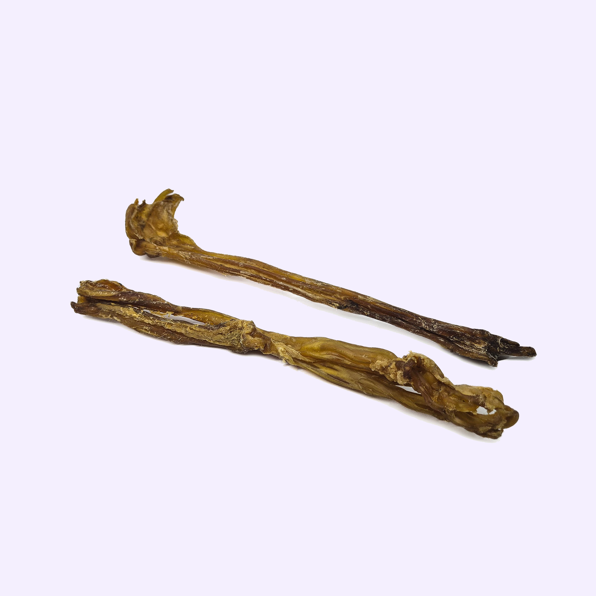 Tendons d'Achille de buffle pour chien – mastication naturelle