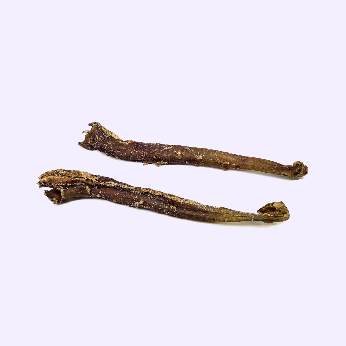 Aorte de buffle pour chien – mastication naturelle