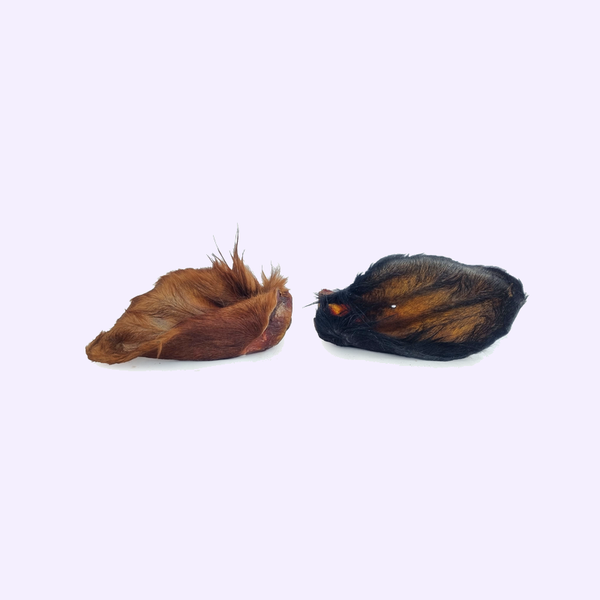 Oreilles de bœuf avec poils pour chien