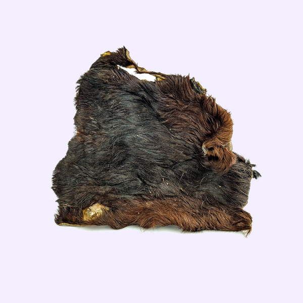 Plaque de bœuf avec poils pour chien – mastication naturelle