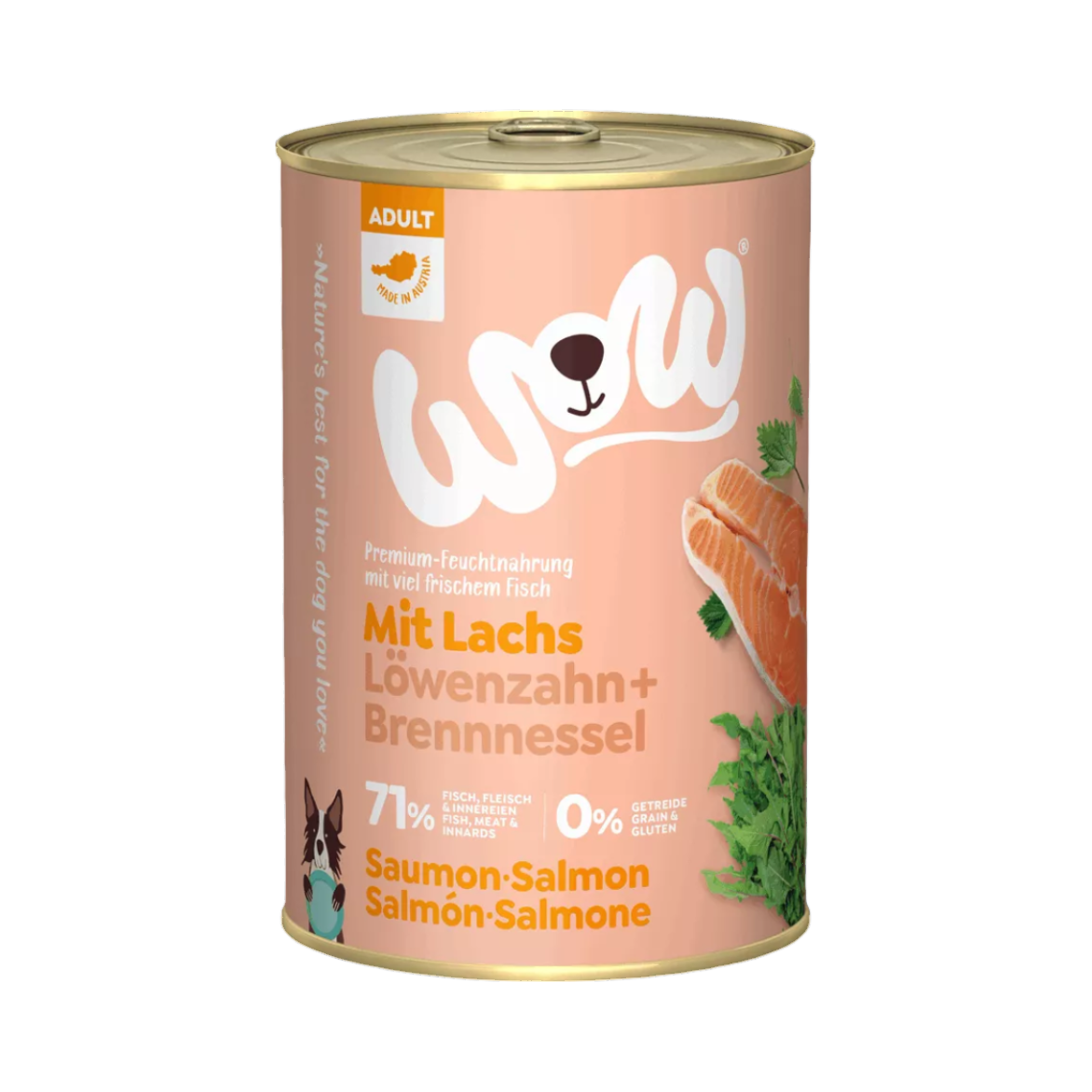 Boîte de conserve saumonée WOW Mit Lachs avec feuilles vertes