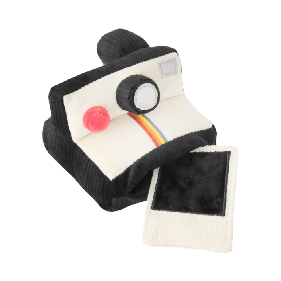 Polaroid noir et blanc à arc-en-ciel avec son tirage à glisser