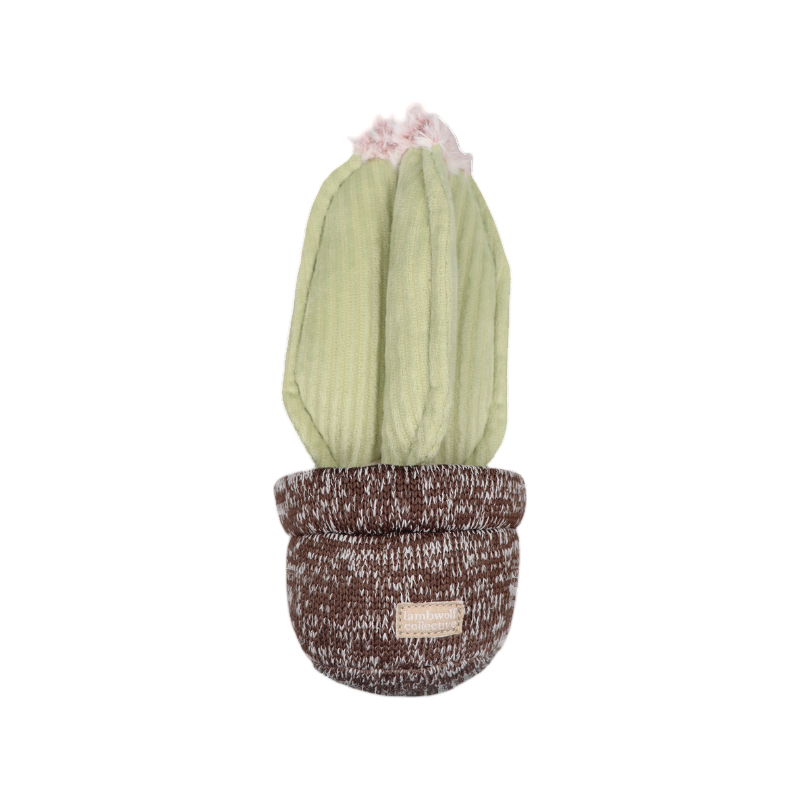 Cactus vert tendre dans un pot tricoté chiné marron