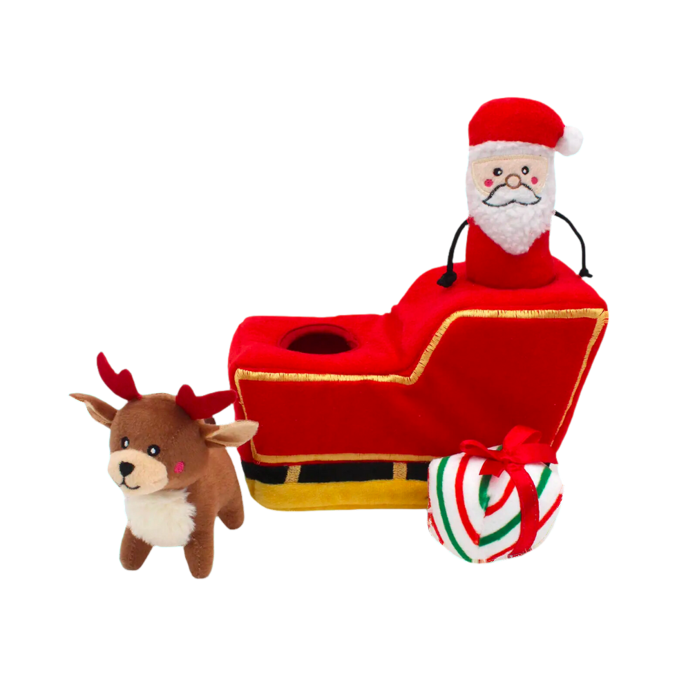 Traîneau rouge et or avec Santa, un renne et un cadeau
