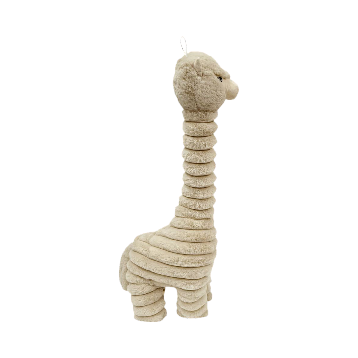 Lama beige de trois quarts, pelage bouclé sur la tête