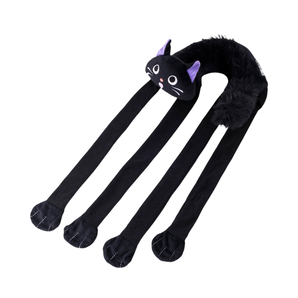 Chat noir le dos rond sur quatre longues pattes