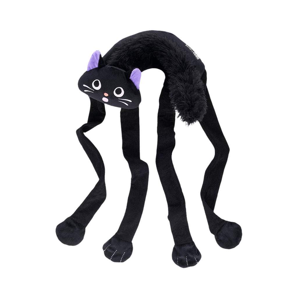 Chat noir aux pattes croisées, vue de face