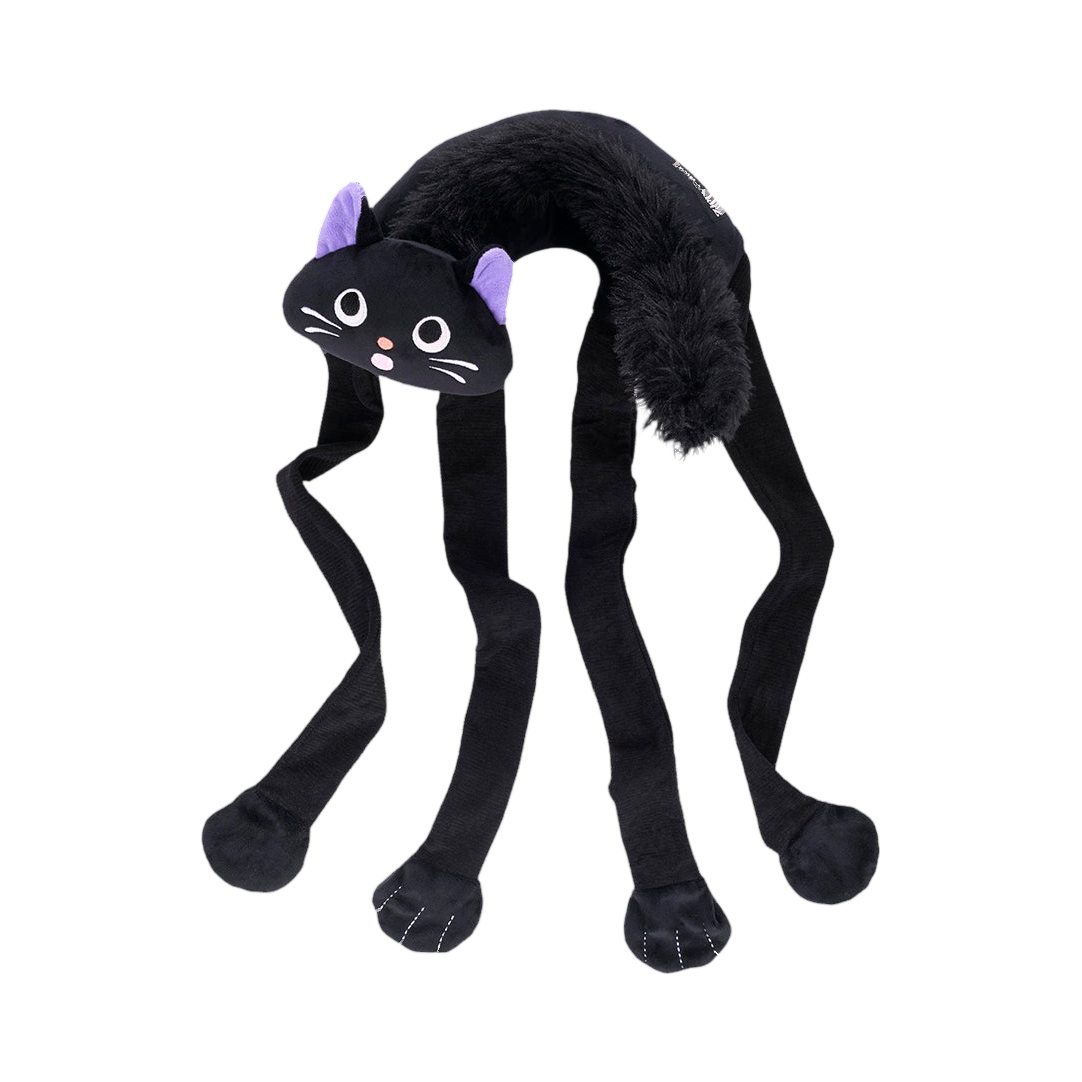 Chat noir aux pattes croisées, vue de face