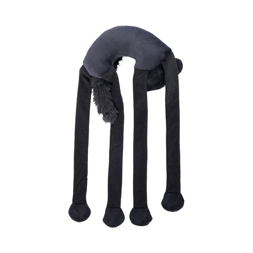 Chat noir vu de dos, dos gris anthracite