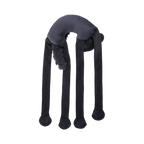 Chat noir vu de dos, dos gris anthracite