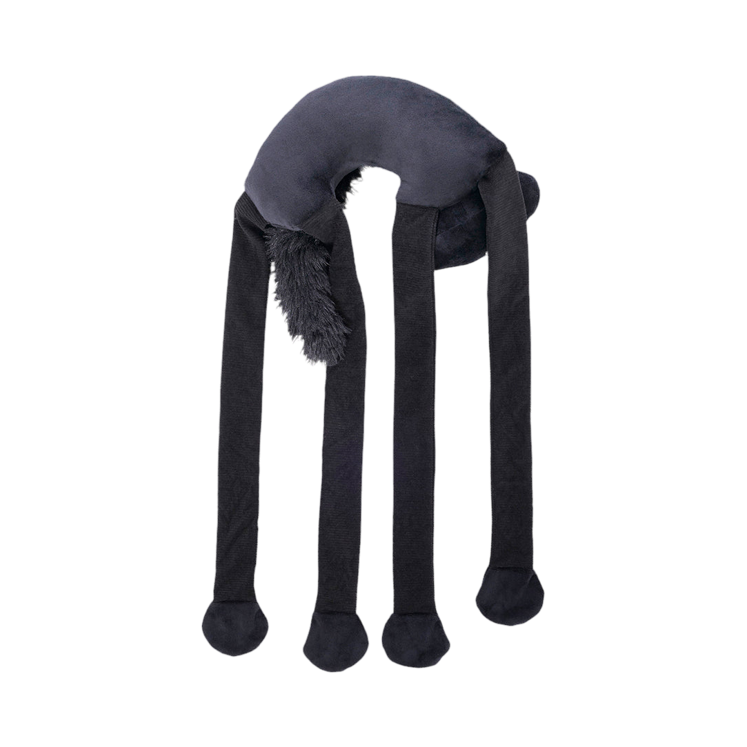 Chat noir vu de dos, dos gris anthracite
