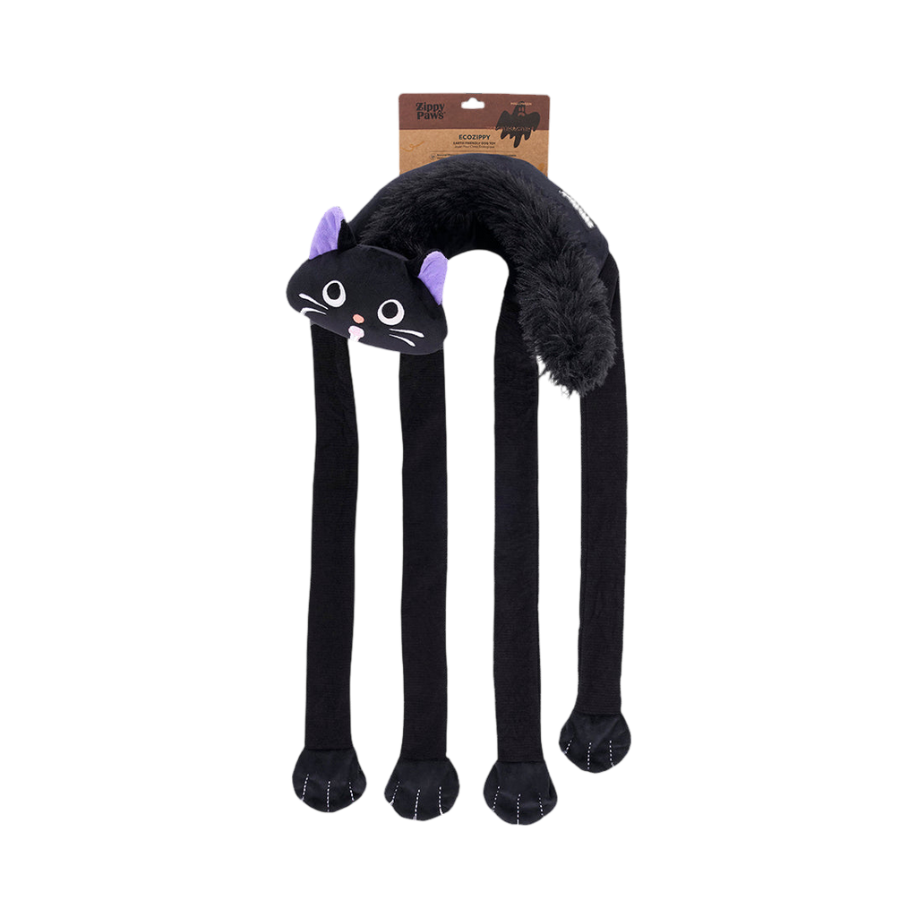 Chat noir avec son étiquette ZippyPaws cartonnée