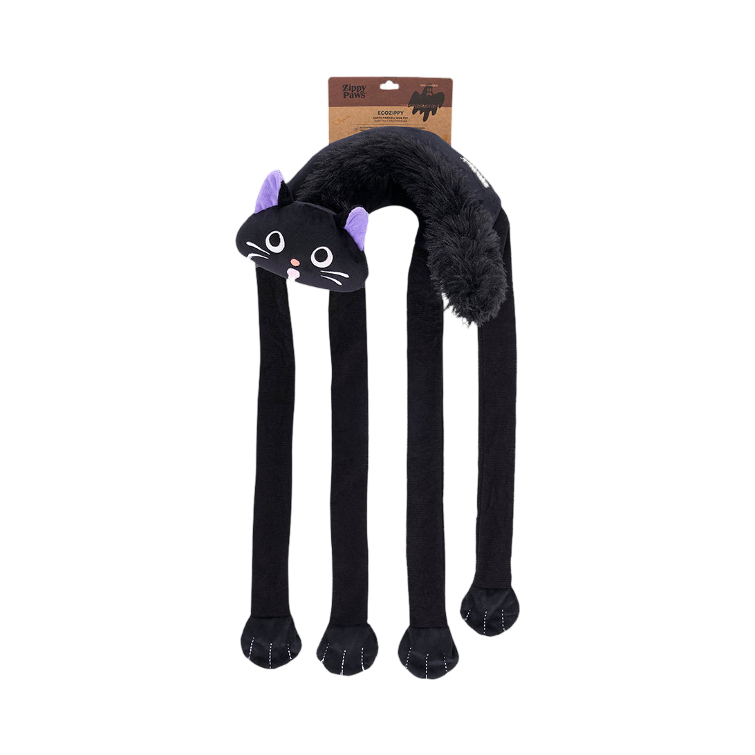 Chat noir avec son étiquette ZippyPaws cartonnée