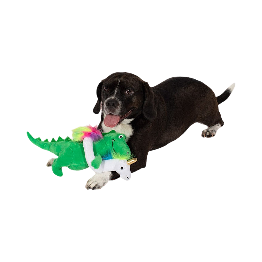 Chien noir allongé à côté du dinosaure vert et sa bouée