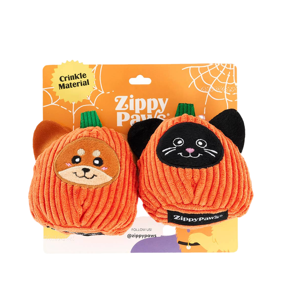 Courges chien et chat noir dans leur carton orange