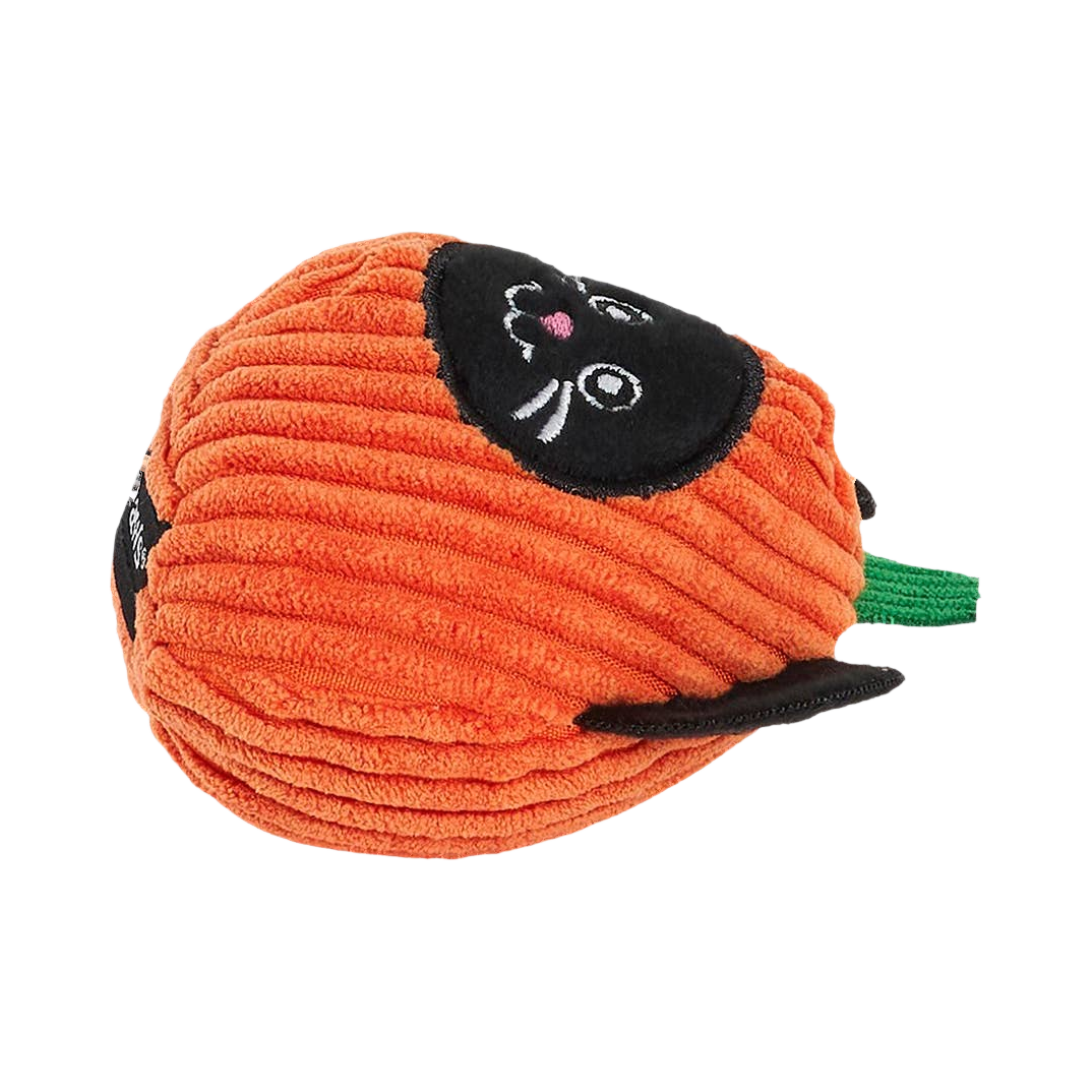 Courge orange côtelée couchée, visage de chat noir