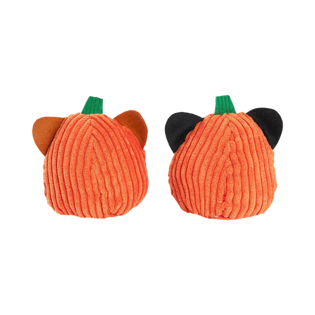 Dos des deux courges, oreilles rousses et noires