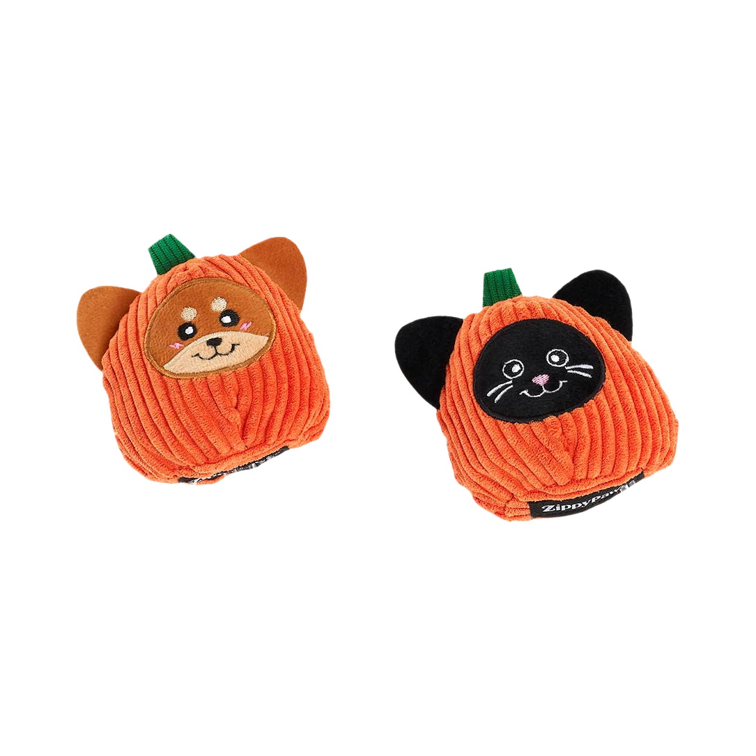 Courges shiba et chat noir vues de trois quarts