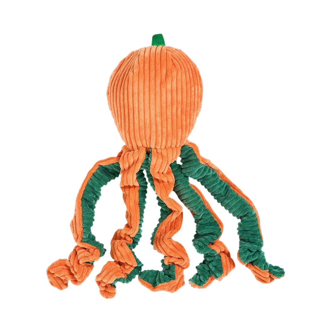 Pieuvre orange vue de dos, tentacules bouclés