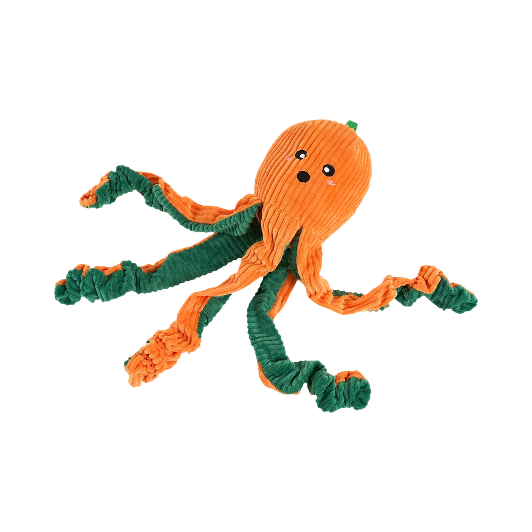 Pieuvre orange étalée, tentacules écartés en étoile